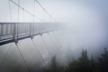Sis, büyükbaba Dağı, N mil yüksek Swinging Bridge'de