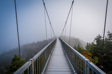 Sis, büyükbaba Dağı, N mil yüksek Swinging Bridge'de