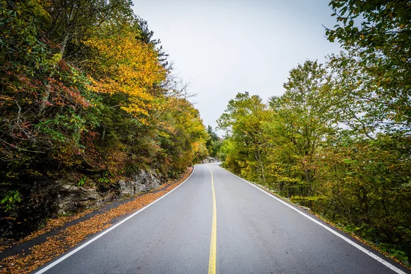 Early autumn color along the road to Grandfather Mountain, North — Stock Photo, Image
