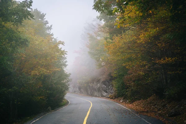 Erken sonbahar renk ve dedesi dağ yolu üzerindeki sis, — Stok fotoğraf