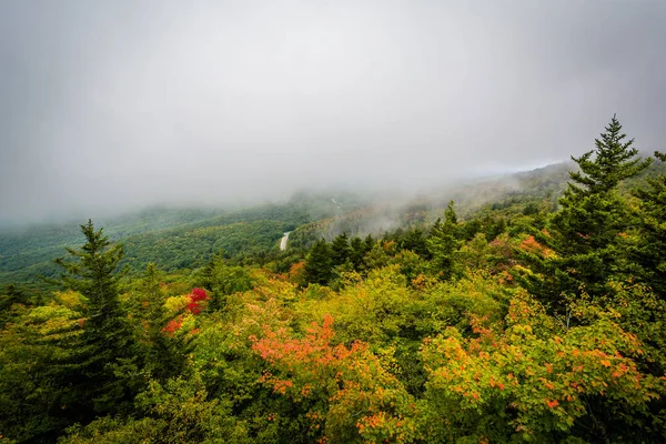 Vista do início do outono de Black Rock, no Grandfather Mountain, Nort — Fotografia de Stock