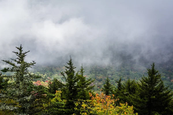 Vista brumosa de las montañas Blue Ridge desde la montaña Grandfather —  Fotos de Stock