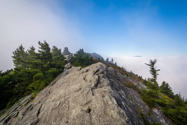 岩石露头和雾，在祖父山，北卡罗莱纳州. — 图库照片