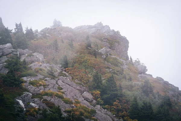 在雾，在祖父山，北卡罗莱纳州的岩石峰. — 图库照片