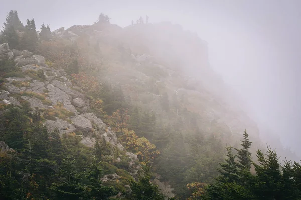 Cima rocciosa nella nebbia, al Grandfather Mountain, Carolina del Nord . — Foto Stock
