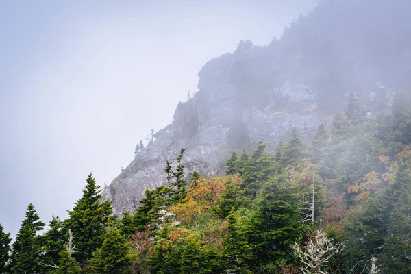 Sis, büyükbaba Dağı, Kuzey Carolina, kayalık Zirvesi.