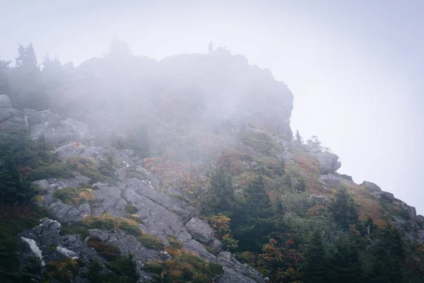 Skalista szczyt we mgle, w Grandfather Mountain w Północnej Karolinie. — Zdjęcie stockowe