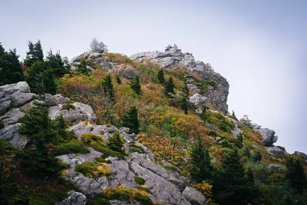 Rocky summit in fog, at Grandfather Mountain, North Carolina. — Stock Photo, Image