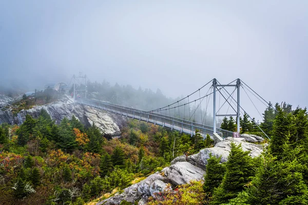 在雾，在祖父山，N 英里高摇摆桥 — 图库照片