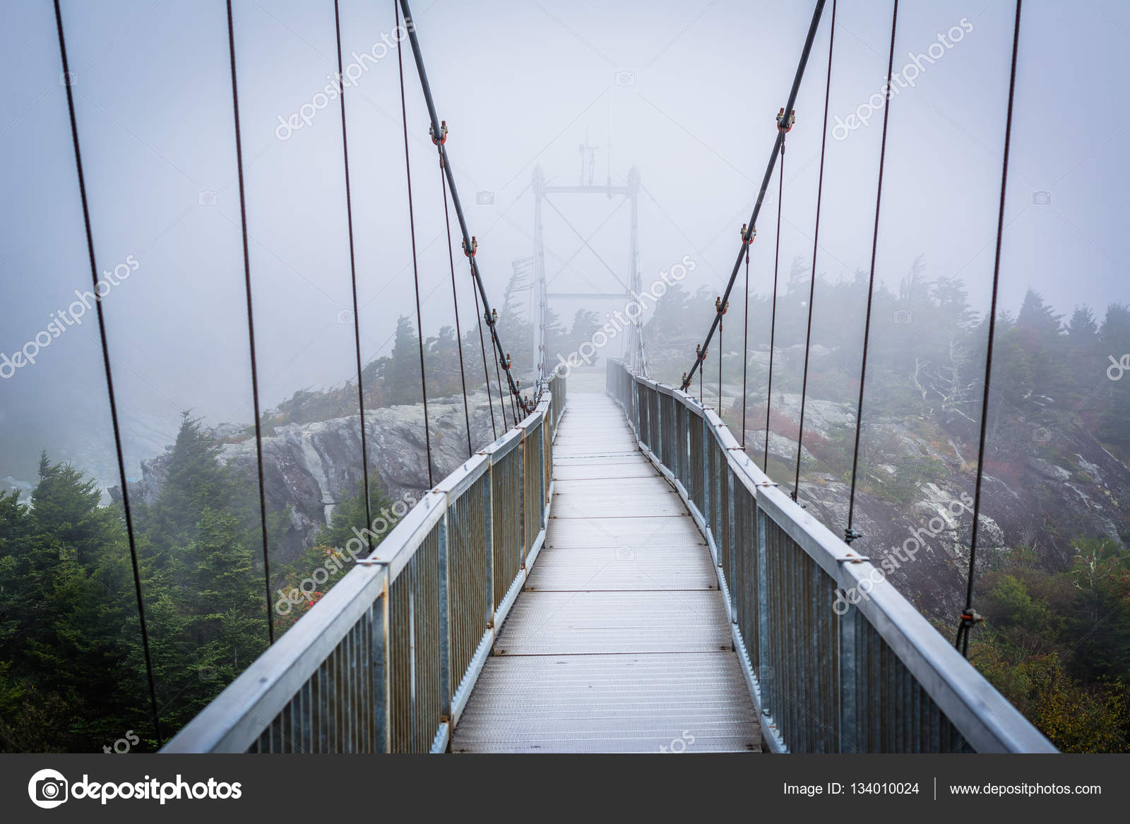 Die Mile High Swinging Bridge Im Nebel Bei Grandfather