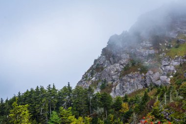 Ağaçlar ve siste büyükbaba Dağı, Kuzey Ca, kayalık yamaçlar