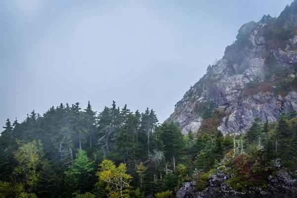 Árvores e encostas rochosas no nevoeiro, na Montanha do Avô, Ca do Norte — Fotografia de Stock
