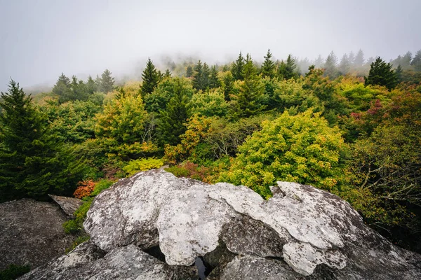 Vista de árboles en niebla desde Black Rock, en Grandfather Mountain, i —  Fotos de Stock