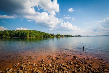 Kuzey Lake Norman, Jetton Park'ta, Cornelius, kayalık kıyısında 