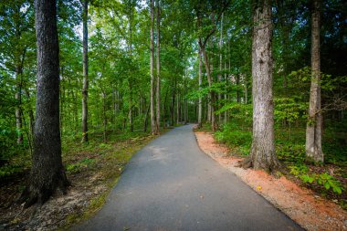 Jetton Park, Cornelius, Kuzey Carolina'da iz.