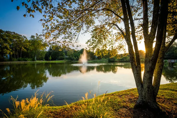 Fuente y estanque en Roosevelt Wilson Park al atardecer, en Davidso — Foto de Stock
