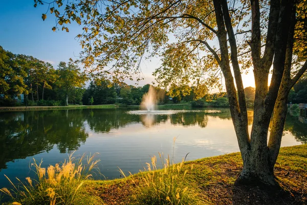 Fuente y estanque en Roosevelt Wilson Park al atardecer, en Davidso — Foto de Stock