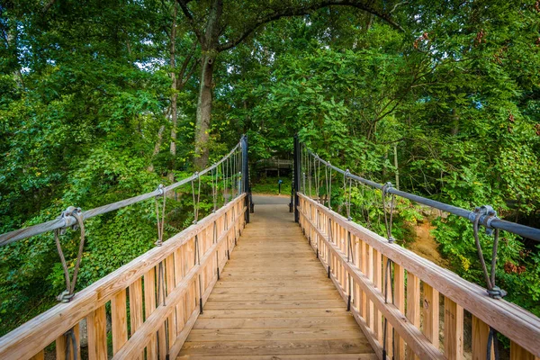 Kis cukor Creek, szabadság Park, Charlotte, nagy-híd — Stock Fotó