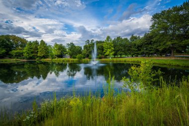 Çeşme ve göl Senfoni Park, Charlotte, Kuzey Karolina