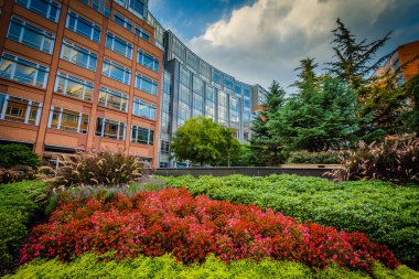Bahçeleri ve Binalar, Johnson ve Wales Üniversitesi, Charlott