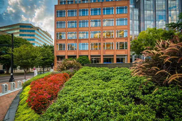 Gardens and buildings at Johnson & Wales University, in Charlott — Stock Photo, Image