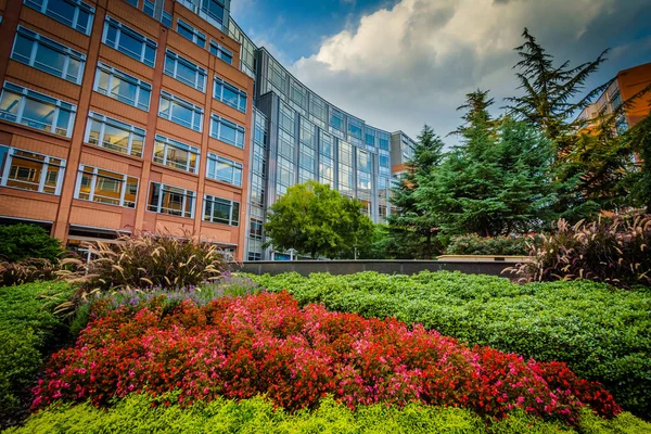 Gardens and buildings at Johnson & Wales University, in Charlott — Stock Photo, Image