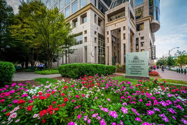 Gardens and buildings in Uptown Charlotte, North Carolina.