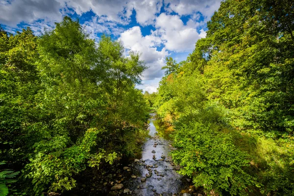 Little Sugar Creek, no Freedom Park, em Charlotte, North Carolin — Fotografia de Stock