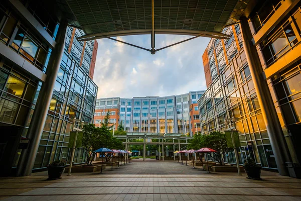 Modern building at Johnson & Wales University, in Charlotte, Nor — Stock Photo, Image