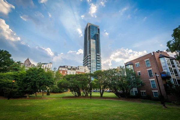 Modern skyscraper and Fourth Ward Park, in Charlotte, North Caro — Stock Photo, Image