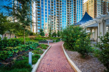 Geçit ve modern binalar Romare Bearden Park'ta Upt gördüm