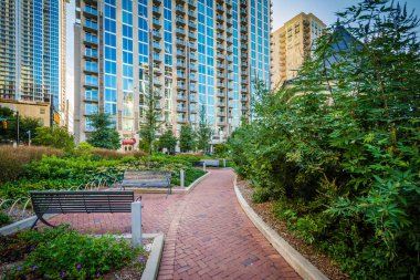 Geçit ve modern binalar Romare Bearden Park'ta Upt gördüm