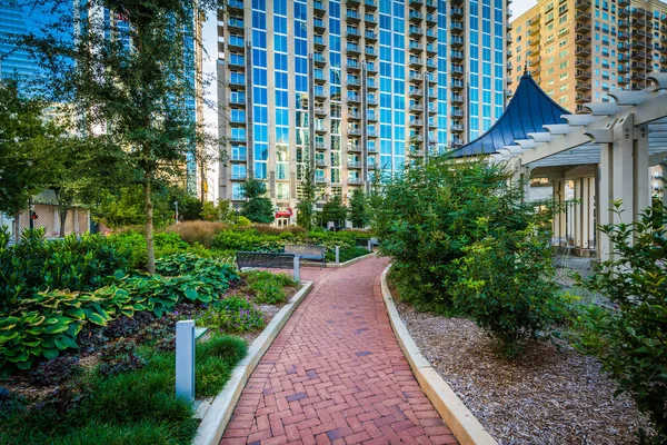 Geçit ve modern binalar Romare Bearden Park'ta Upt gördüm