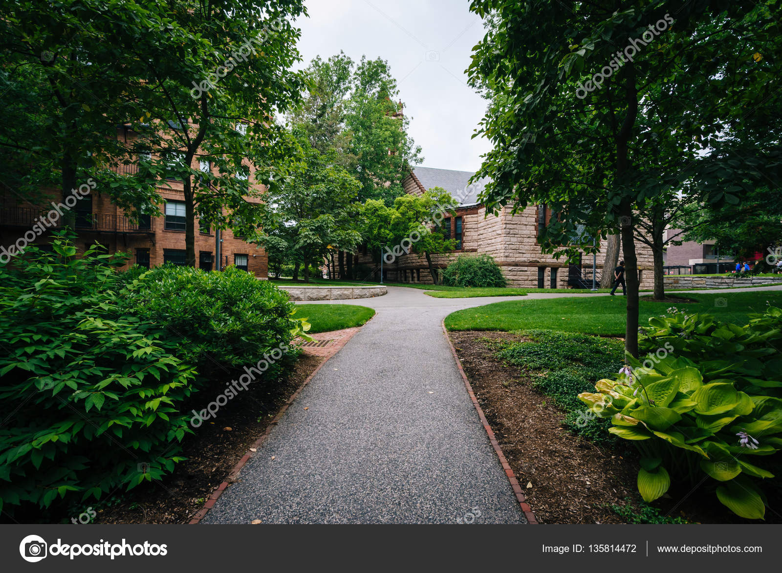 Botanic Gardens Cambridge Harvard Fasci Garden