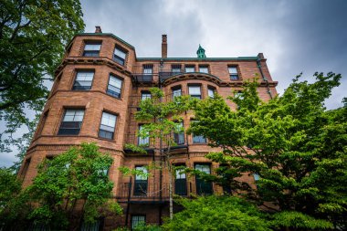 Harvard Üniversitesi, Cambridge, Massachusett Bina Tuğla