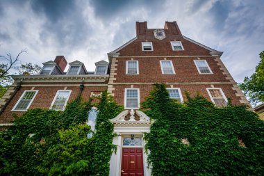 Harvard Üniversitesi, Cambridge, Massachuset tuğla binalar