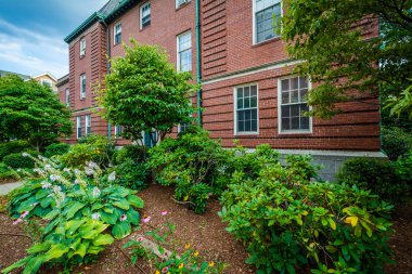 Bina ve bahçeleri, Harvard Üniversitesi, Cambridge, Massac