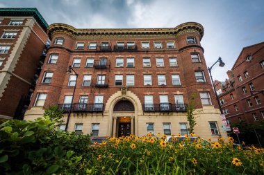 Çiçekler ve Claverly Salonu, Harvard Üniversitesi, Cambridge, 