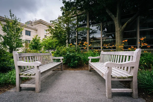 Bänke und Gebäude an der Universität von Harvard, in Cambridge, Massa — Stockfoto