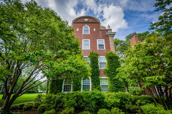 Bakstenen gebouw en bomen aan de Harvard Business School, in Boston, — Stockfoto