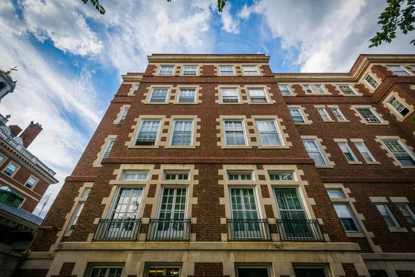 Harvard Üniversitesi, Cambridge, Massachusett Bina Tuğla