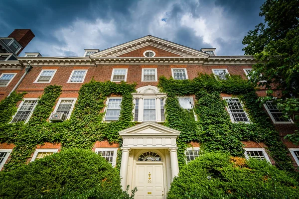 Brick buildings at Harvard University, in Cambridge, Massachuset — Stock Photo, Image