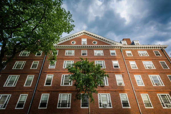 Harvard Üniversitesi, Cambridge, Massachuset tuğla binalar