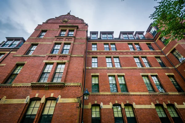 Bakstenen gebouwen op de Harvard Yard, in Cambridge (Massachusetts) — Stockfoto