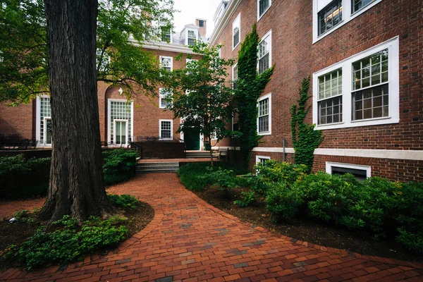 Brick walkway and buildings at Harvard Business School, in Bosto — Stock Photo, Image