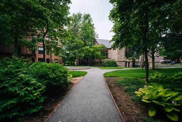 Будинки й доріжки Гарвардського університету в Кембриджі, Масса — стокове фото