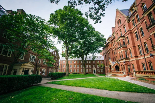 Edifícios e passarelas no Harvard Yard, na Harvard Universit — Fotografia de Stock