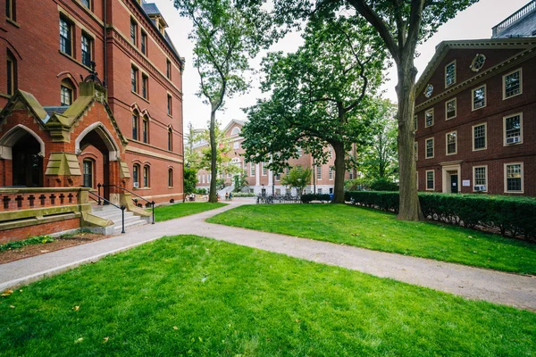 Edificios y pasarelas en el Harvard Yard, en la Universidad de Harvard —  Fotos de Stock