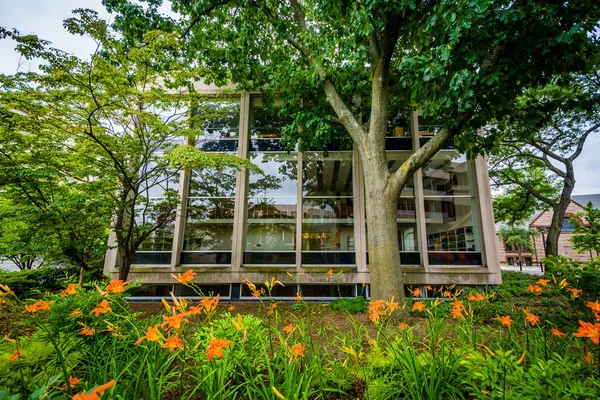 Flores y edificio moderno en la Universidad de Harvard, en Cambridge , — Foto de Stock