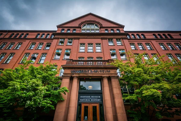 Het Harvard Museum of Natural History, in Cambridge, Massachuset — Stockfoto